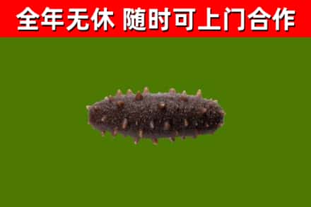 富锦市烟酒回收干海参.jpg